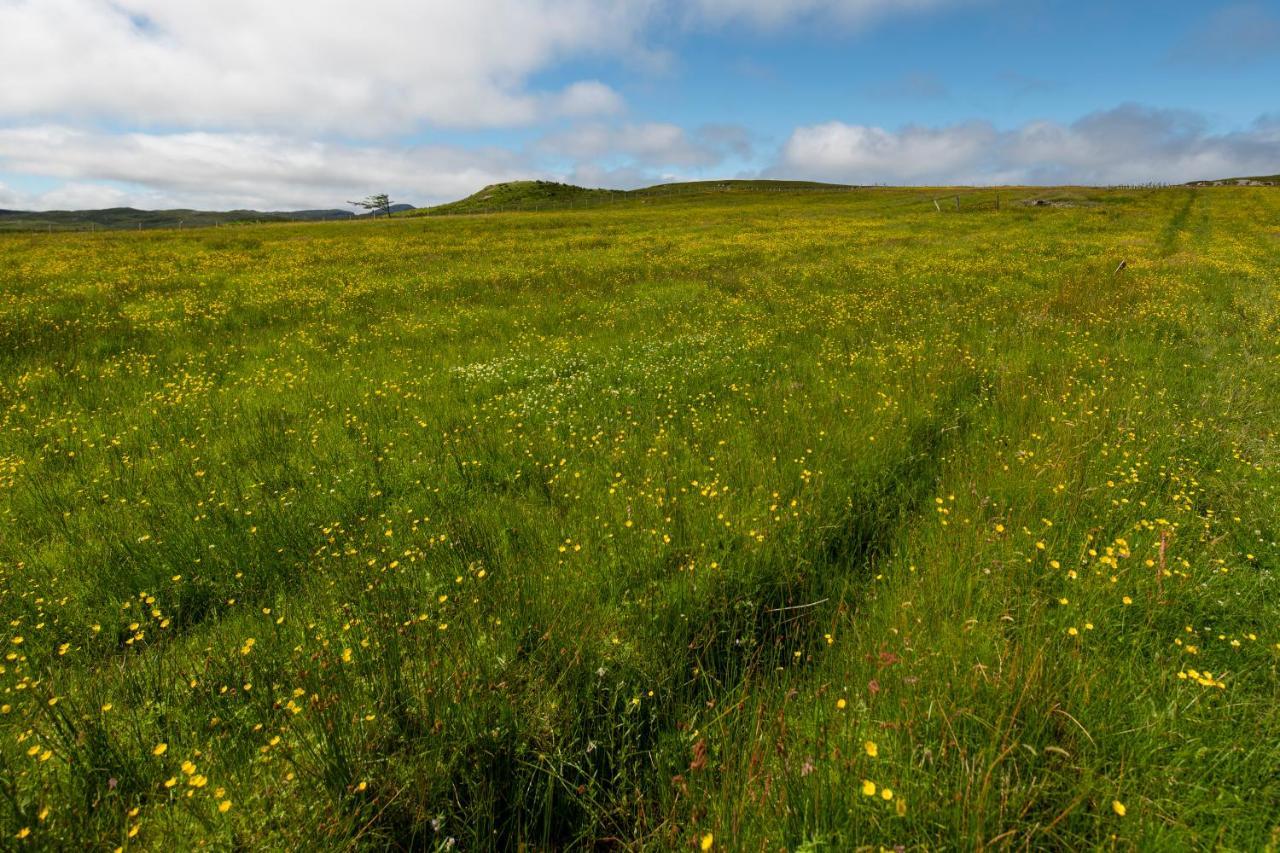 21 Callanish Luxury Pod Dış mekan fotoğraf