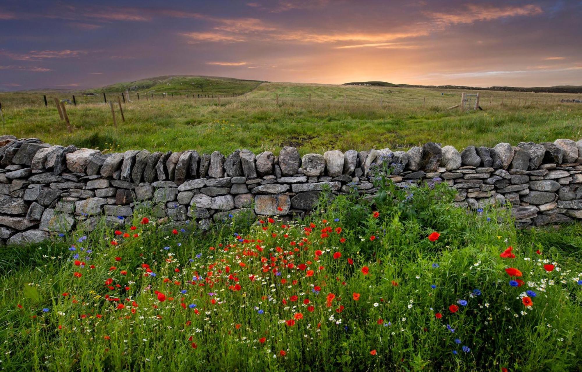 21 Callanish Luxury Pod Dış mekan fotoğraf